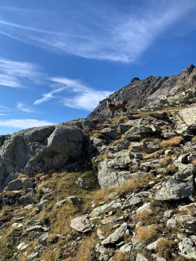 Champoluc – Cime Bianche Superiore