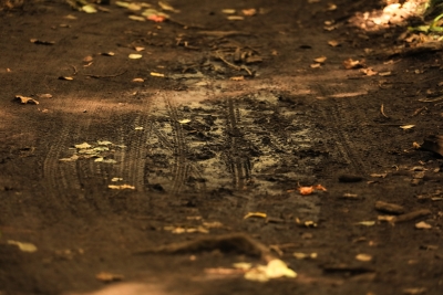 Pulizia e trattamento